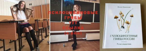 скорость mdpv Козловка