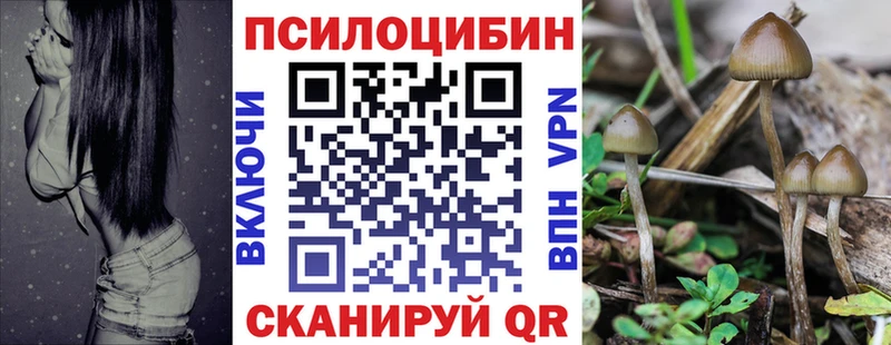 Купить закладки  Северск  Галлюциногенные грибы Cubensis 